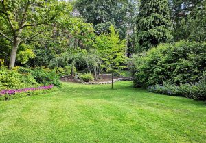 Optimiser l'expérience du jardin à Mousseaux-les-Bray